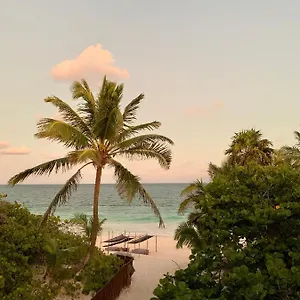 Libelula Beachfront **** Tulum